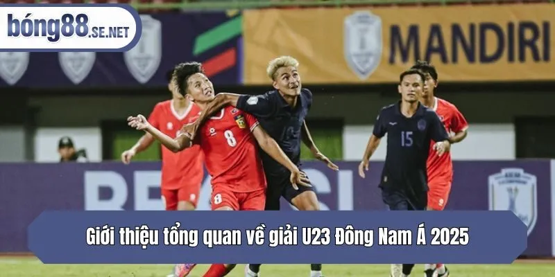 Giới thiệu tổng quan về giải U23 Đông Nam Á 2025